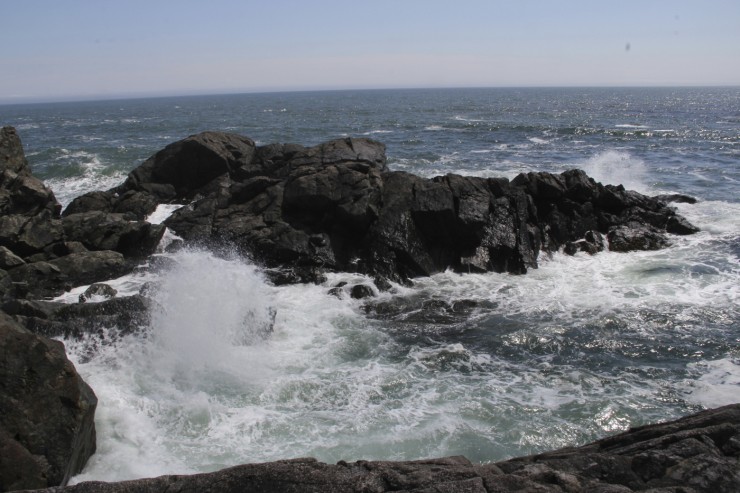 海洋在岩石上