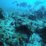 珊瑚礁生态系统4