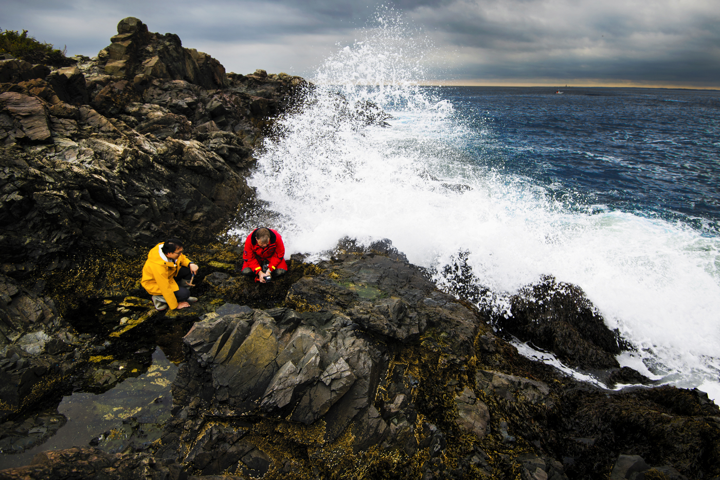 两位研究者的照片的岩石海岸海洋科学中心。