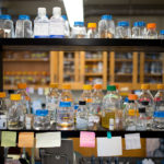 化学物质的照片显示一个生物实验室的架子上。