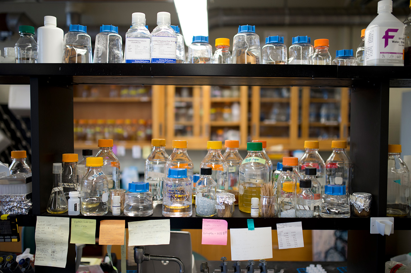 生物实验室架子上展示的化学品图片。