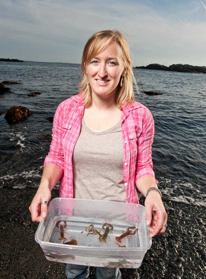 作者博士玛丽莎·麦克马汉与少年龙虾本研究中使用的类型。