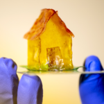在尼尔·乔希的实验室里，一种由细菌制造的类似塑料的材料制成的房子。Ruby Wallau/东北大学摄影raybet雷竞技雷竞技app最新版