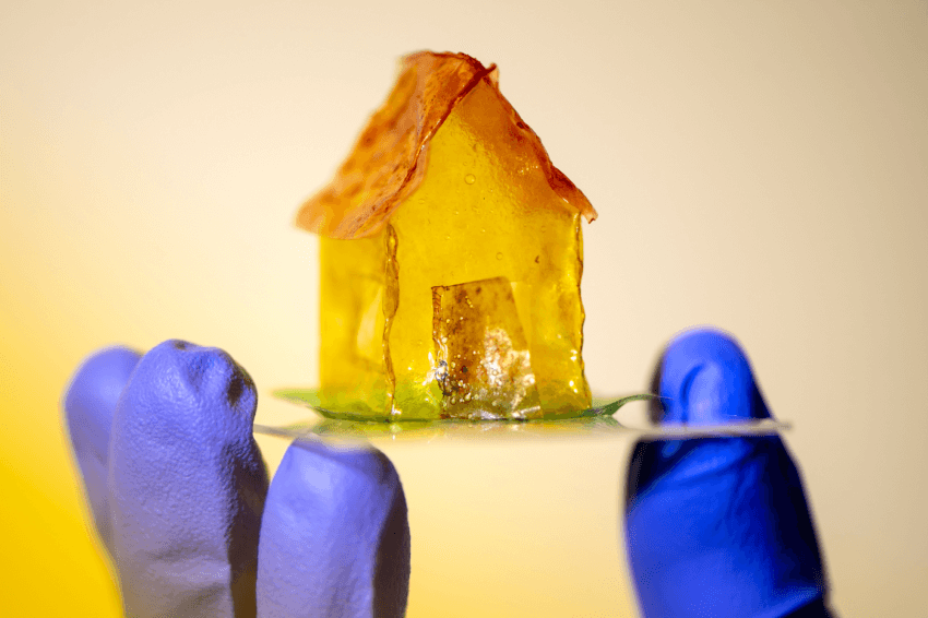 房子由一个类似塑料的材料由细菌在奈尔Joshi)的实验室。图片由Ruby Wallau /东北大学raybet雷竞技雷竞技app最新版