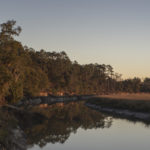 图像的沼泽地区周围的河床
