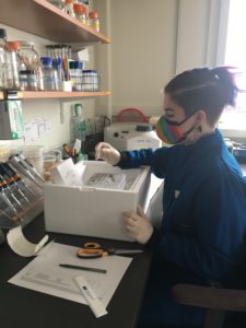 李·费努乔(Lee Fenuccio)坐在实验室里，穿着蓝色的实验室大褂，坐在桌子前，拿着一个放在盒子上的标本