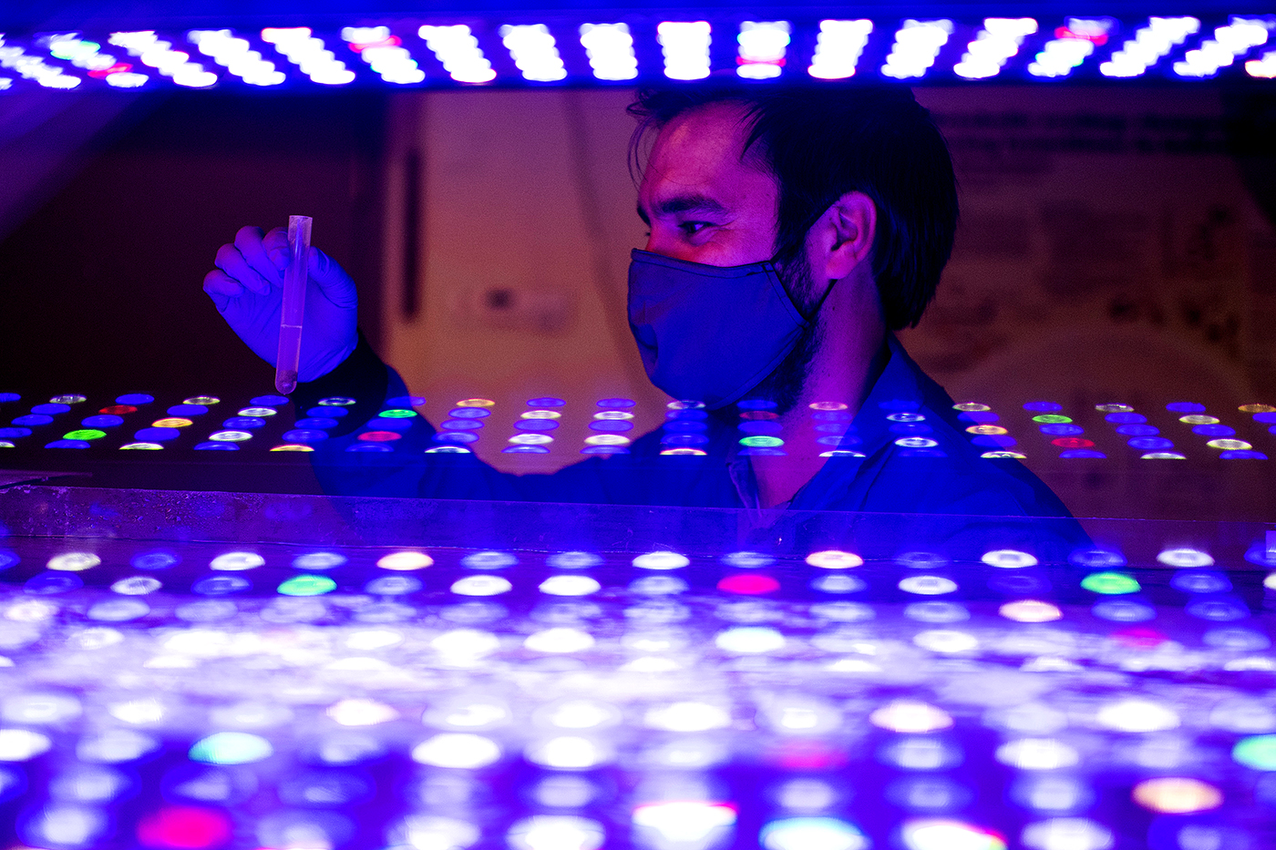 山姆·穆尼奥斯举起试管在实验室周围紫色光的反射