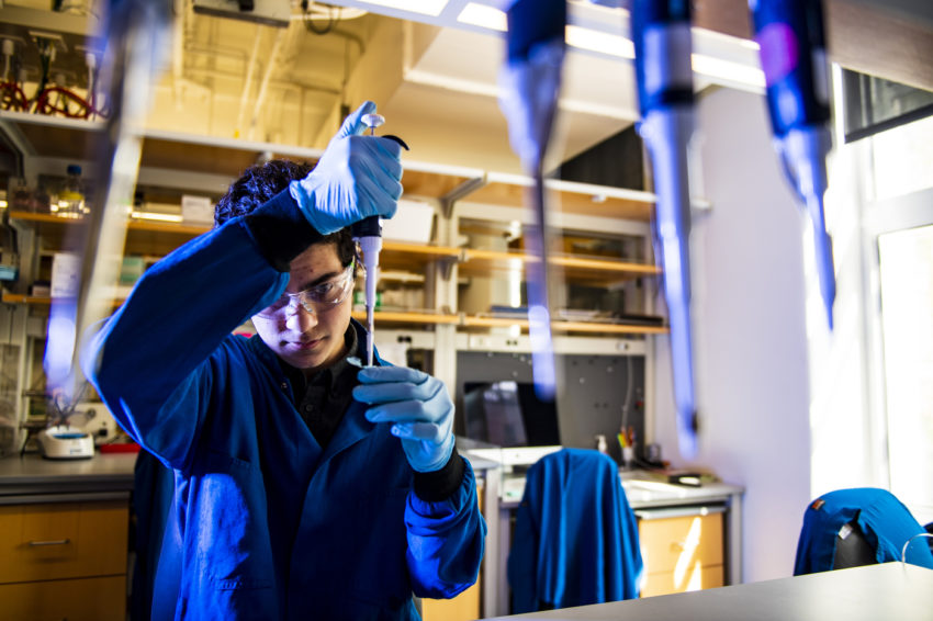 Dillon nishigaya在生物实验室工作，使用试管和移液管