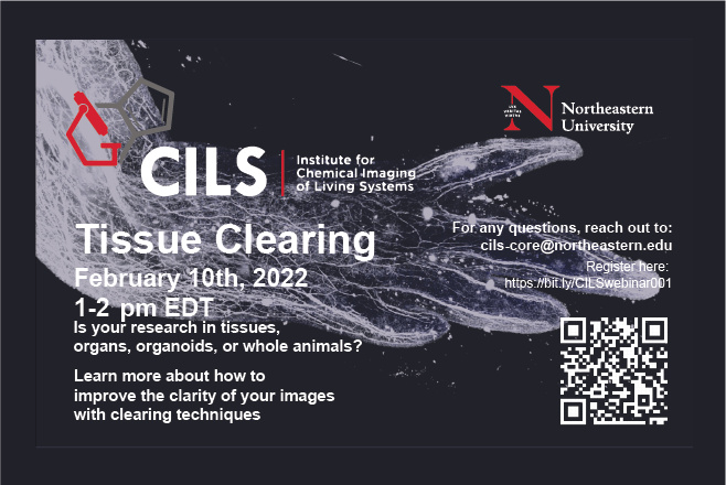 CILS网络研讨会2 -组织清理