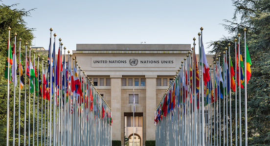 联合国联合国事业:9职业道路的照片