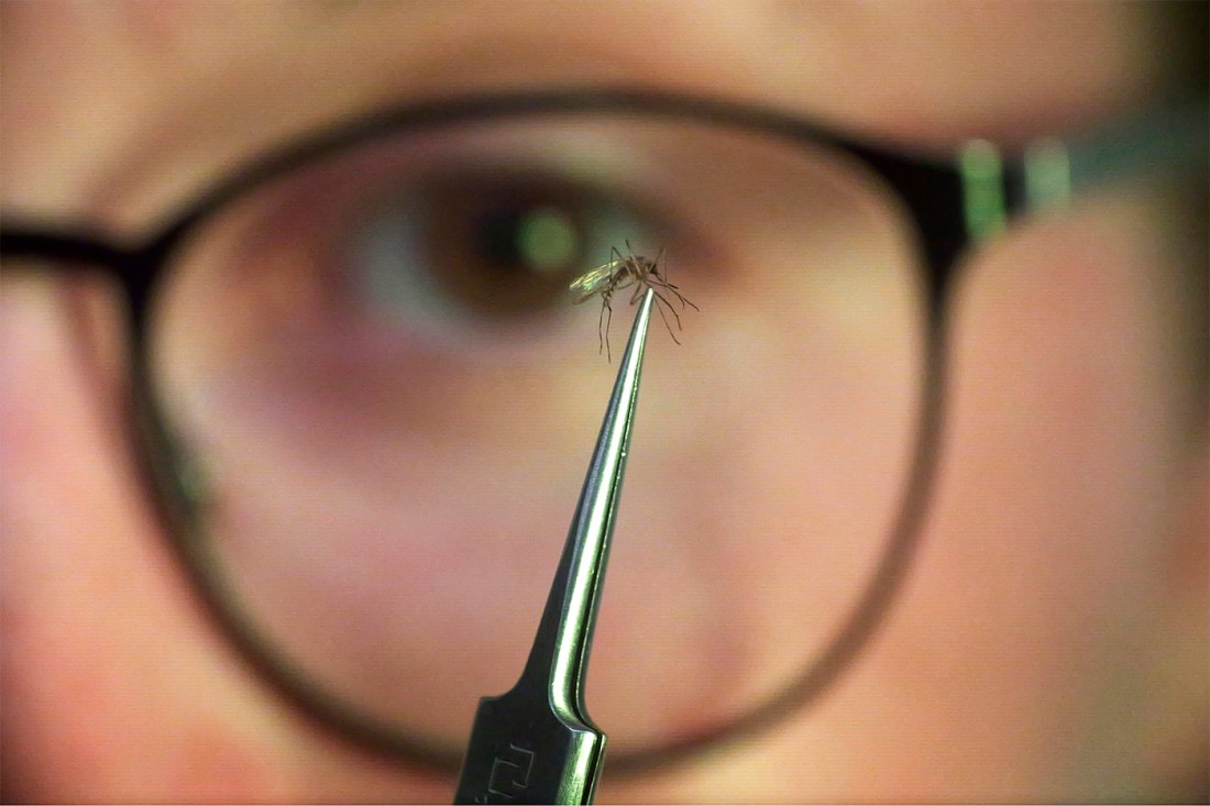 Ella Branham在眼镜前举蚊子检验