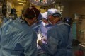 三位外科医生移植肾