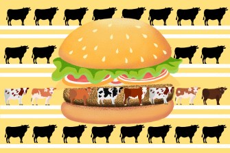 大汉堡插图 由牛环影环绕 黄背景